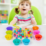 Montessori Color Sorting Board Puzzle Game