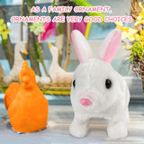 Cute Walking Plush Rabbit With Sound