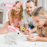 Cute Walking Plush Rabbit With Sound