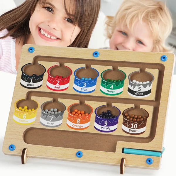 Magnetic Color Classification Maze