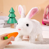 Cute Walking Plush Rabbit With Sound