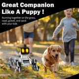 RC Robot Dog