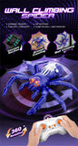 Interactive RC Spider Toy