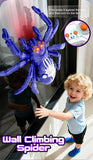 Interactive RC Spider Toy