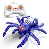 Interactive RC Spider Toy