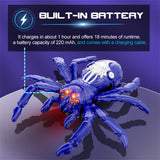 Interactive RC Spider Toy